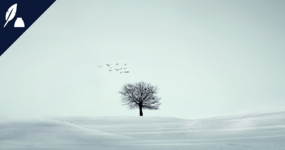 Un pas de plus vers l’aide active à mourir