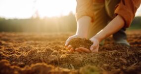 La doctrine sociale de l&rsquo;Église propose un moyen terme entre le collectivisme et l&rsquo;ultralibéralisme.